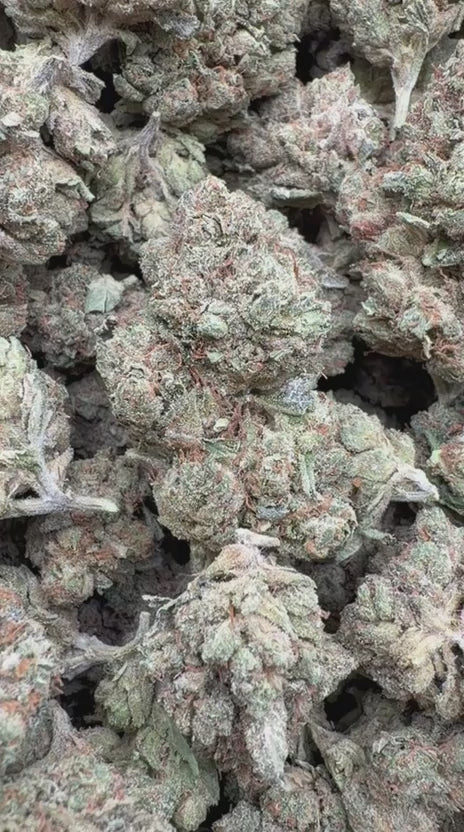 Load video: Skywalker OG Indoor - Bulk - Indica