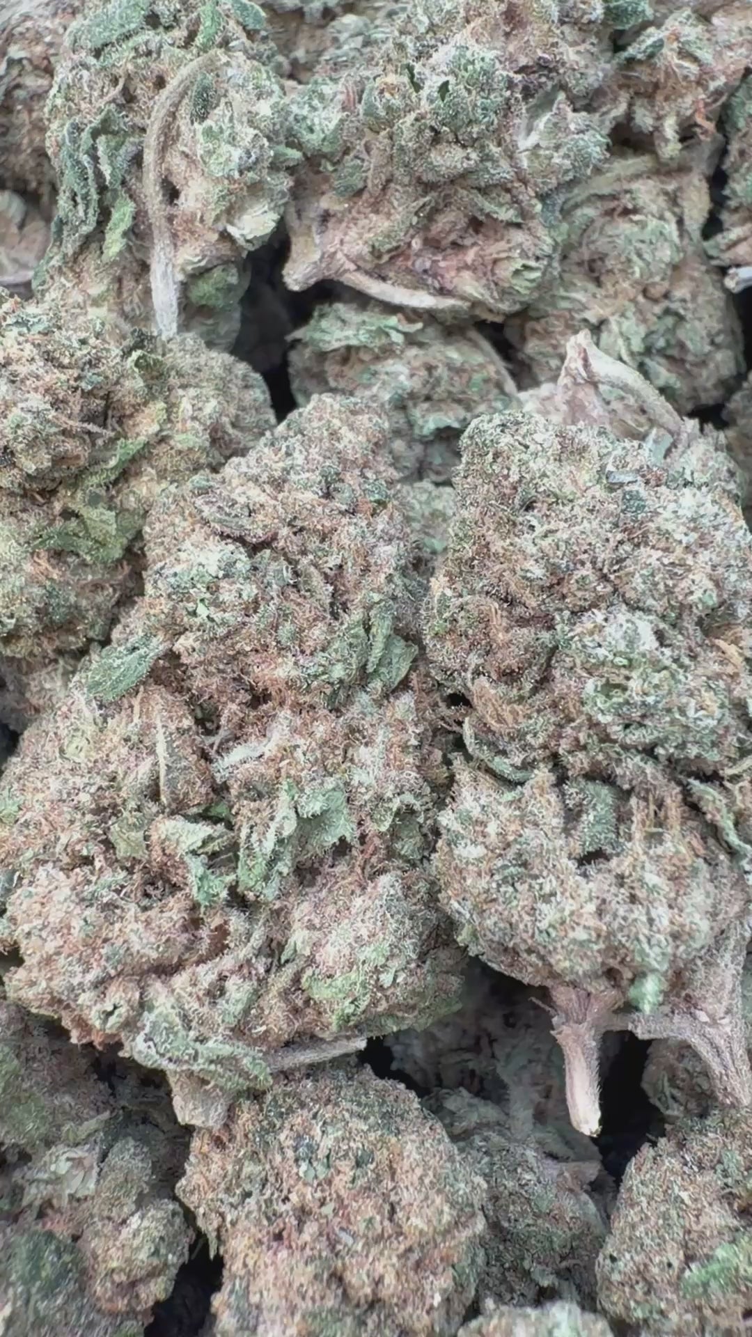 Load video: Lemonatti - Bulk - Sativa