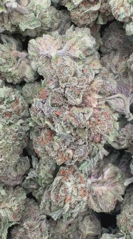 Load video: Jokerz - Bulk - Indica