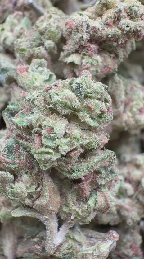 Load video: Cherry Pie Littles - Bulk Littles - Hybrid