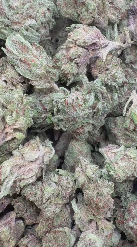 Load video: Berry Gelato Littles - Bulk Littles - Hybrid