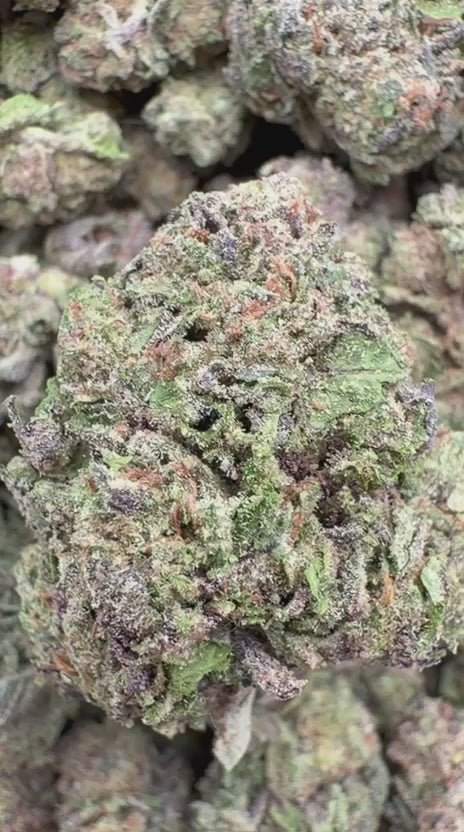 Load video: Bubba Candy Indoor - Bulk - Indica