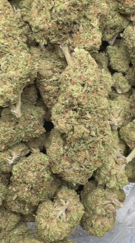 Load video: Lemon Kush - Bulk - Hybrid