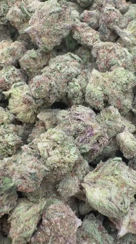 Load video: Gelato 33 Littles - Bulk Littles - Hybrid