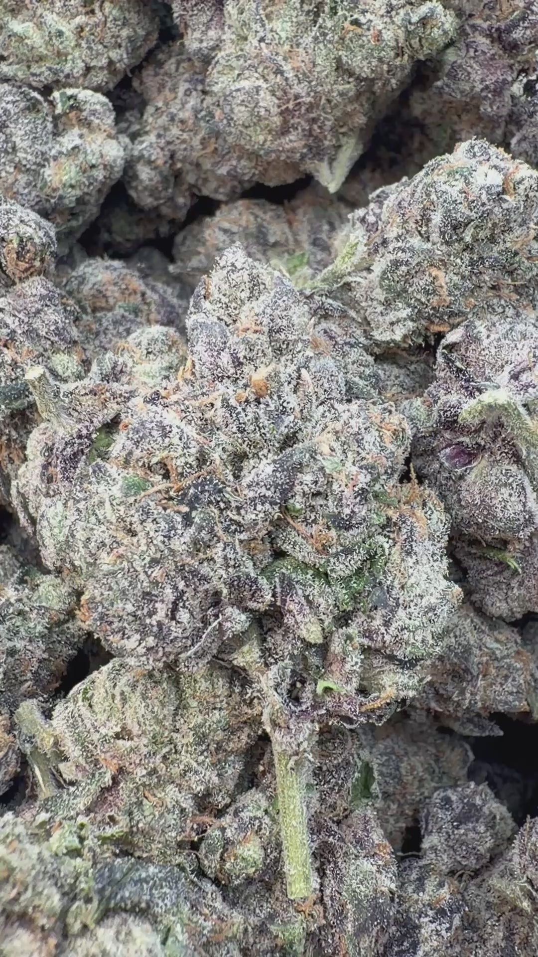 Load video: Elite Boutique Exotic Candy Fumes - Bulk - Hybrid