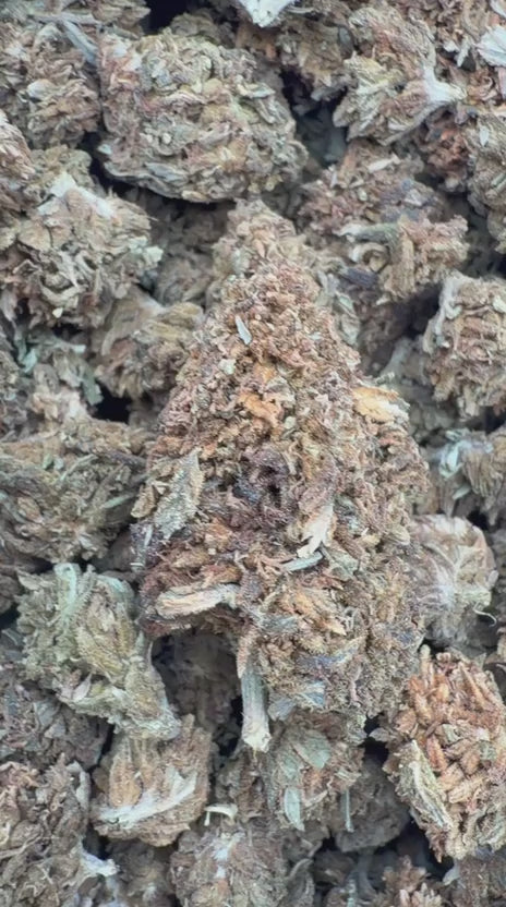 Load video: Butterscotch OG - Bulk - Indica
