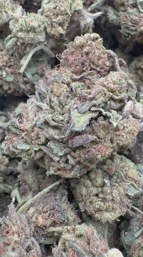 Load video: Apple Banana - Bulk - Hybrid