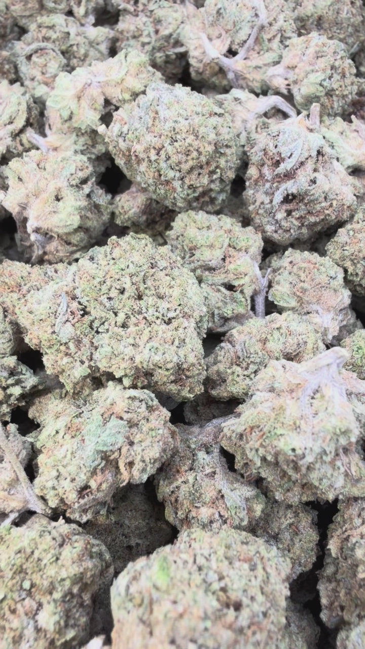 Load video: GMO Mediums - Bulk Mediums - Indica