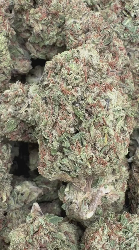 Load video: Jager Sour Diesel - Bulk - Sativa