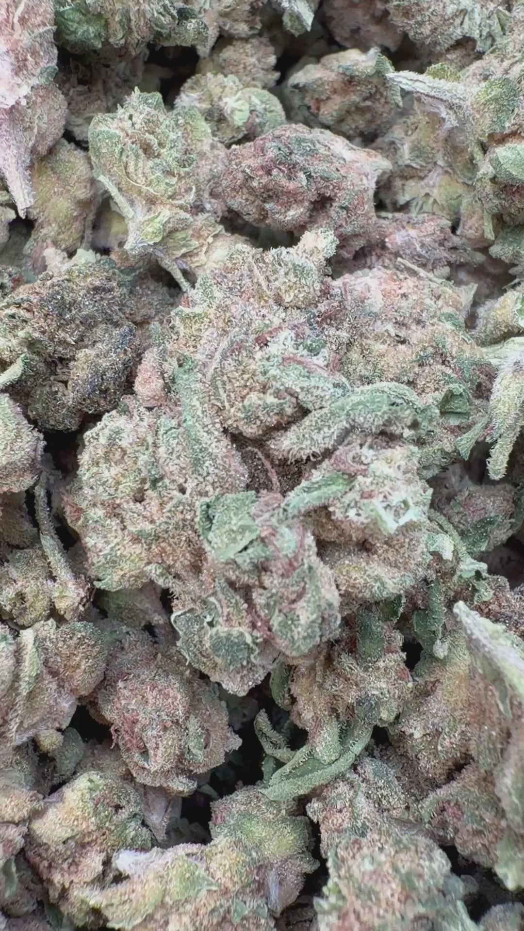 Load video: Sour OG Littles - Bulk Littles - Hybrid