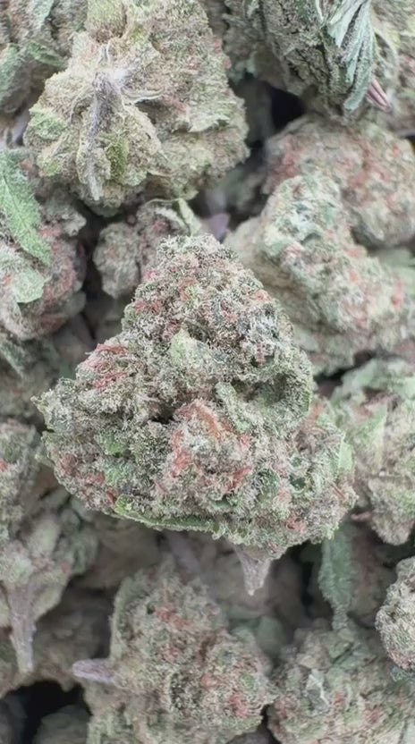 Load video: Lemon Bar Littles - Bulk Littles - Sativa