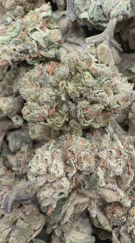 Load video: Peanut Butter Cup Littles - Bulk Littles - Indica