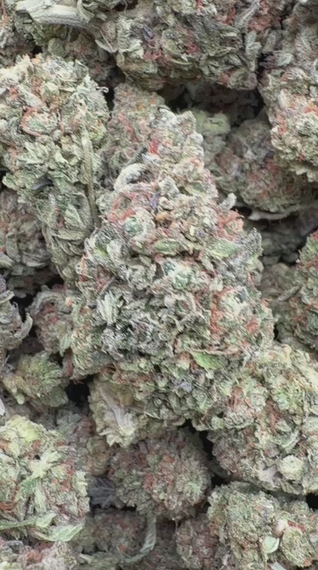 Load video: Peanut Butter Cup - Bulk - Indica