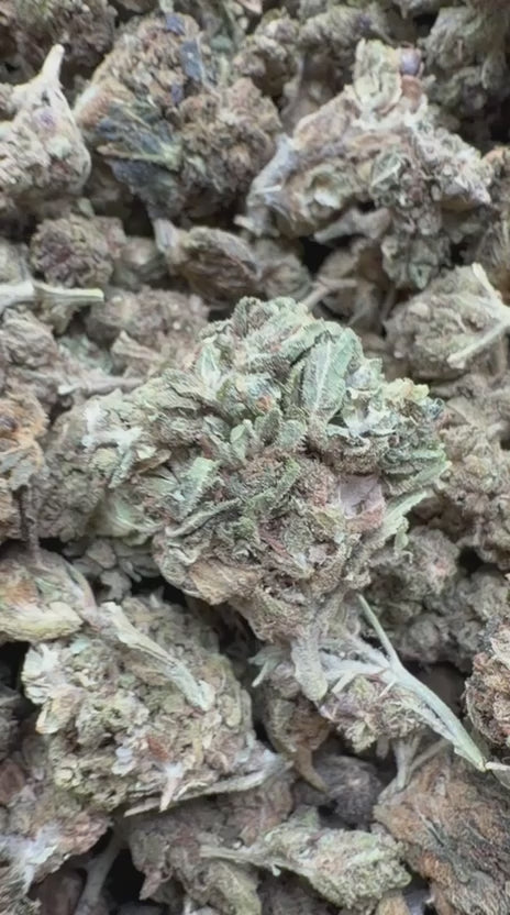 Load video: Acapulco Gold Littles - Bulk Littles - Sativa