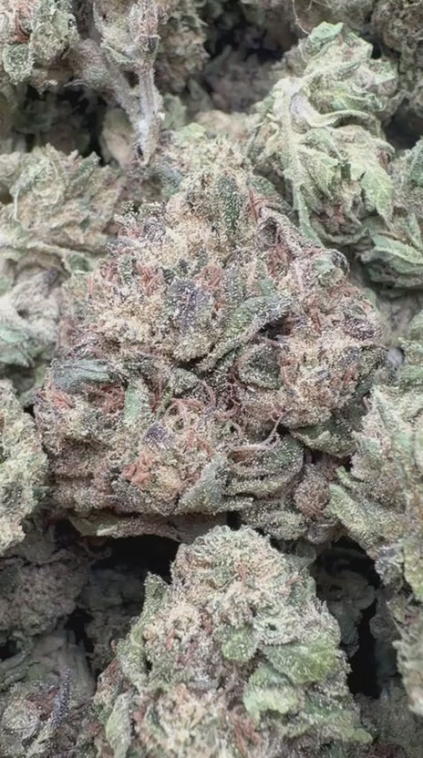 Load video: LCG x Runtz Indoor - Bulk - Hybrid