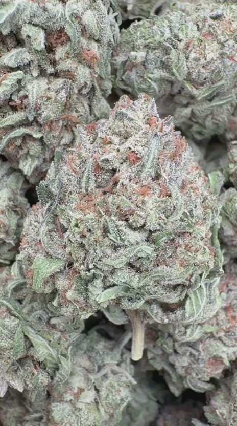 Load video: Oreoz - Bulk - Indica