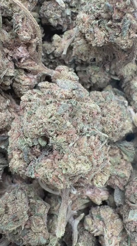 Load video: GMO - Bulk - Indica
