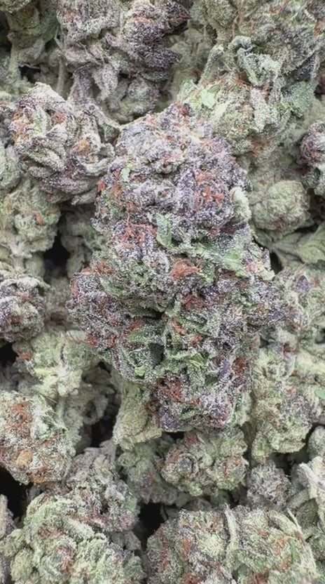 Load video: Black Cherry Runtz - Bulk - Indica