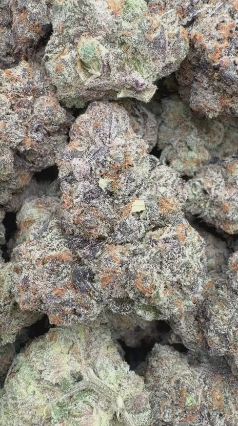 Load video: Butter Pina Indoor - Bulk  - Indica