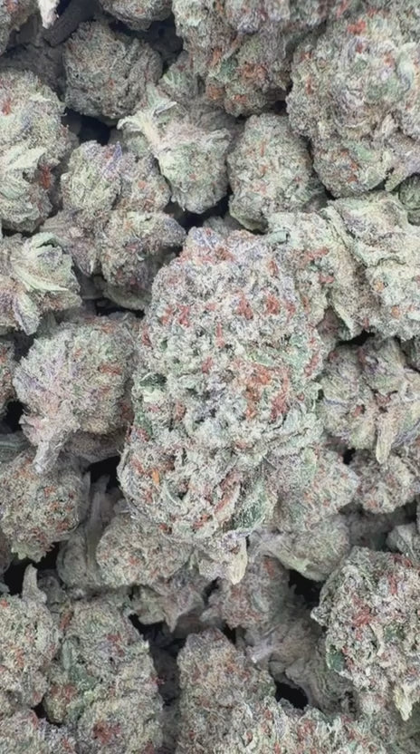 Load video: Lemonatti - Bulk - Sativa