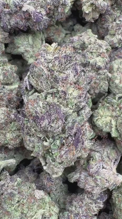 Load video: Purple Octane - Bulk- Indica