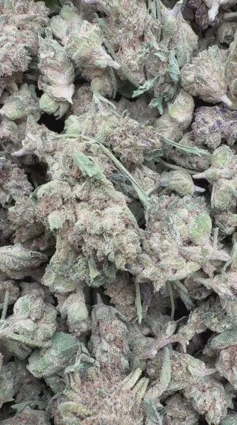 Load video: Pinnacle Mintz Littles - Bulk Littles - Hybrid