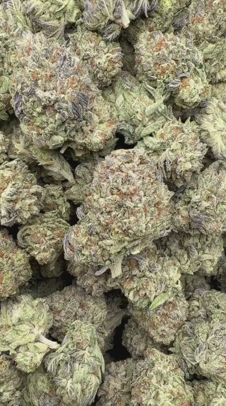 Load video: Carbon Fiber - Bulk - Hybrid