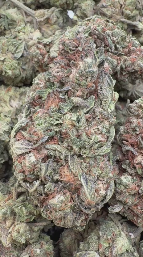 Load video: Platinum Bubba - Bulk - Indica