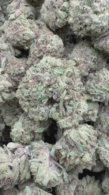 Load video: Super Runtz Mediums - Bulk Mediums - Hybrid