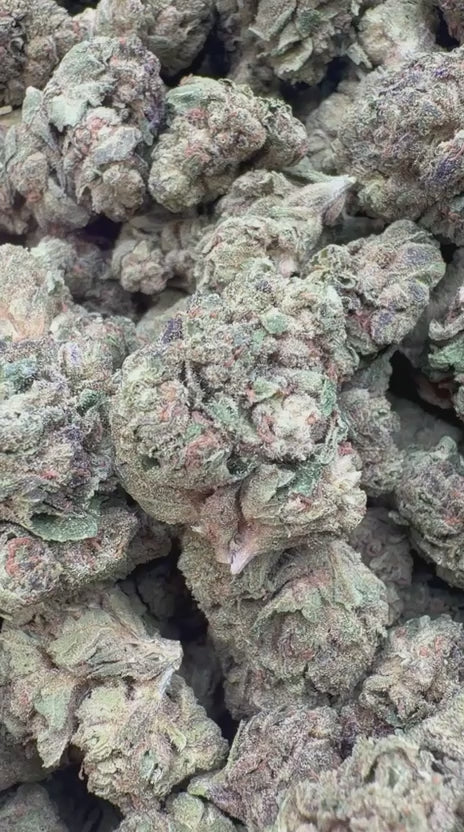 Load video: Blackberry Kush - Bulk - Indica