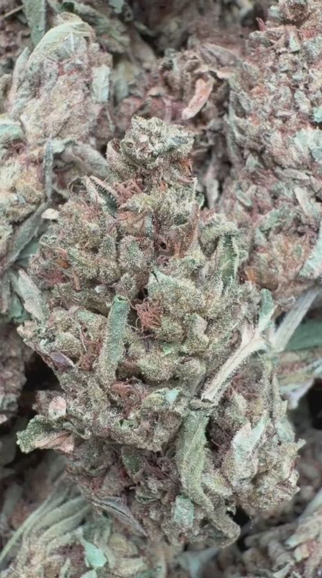Load video: Venom OG - Bulk - Indica