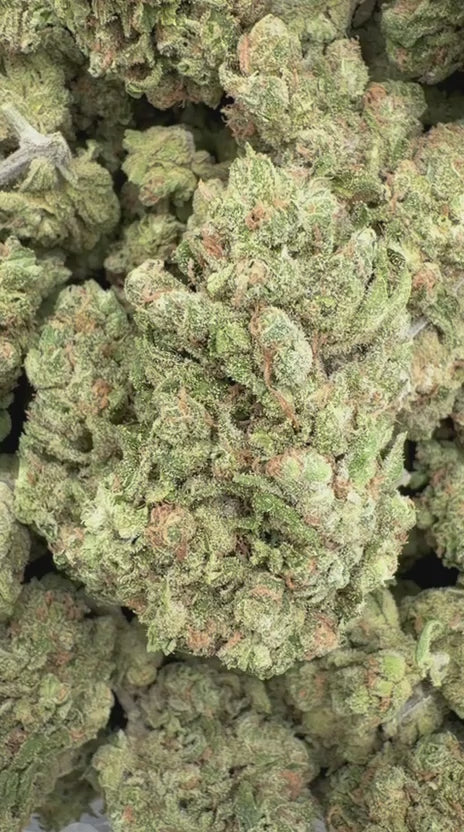 Load video: Double Dream - Bulk - Sativa
