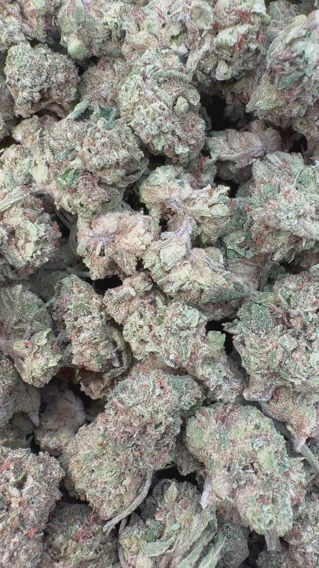 Load video: London Pound Cake 97 Littles - Bulk Littles - Indica