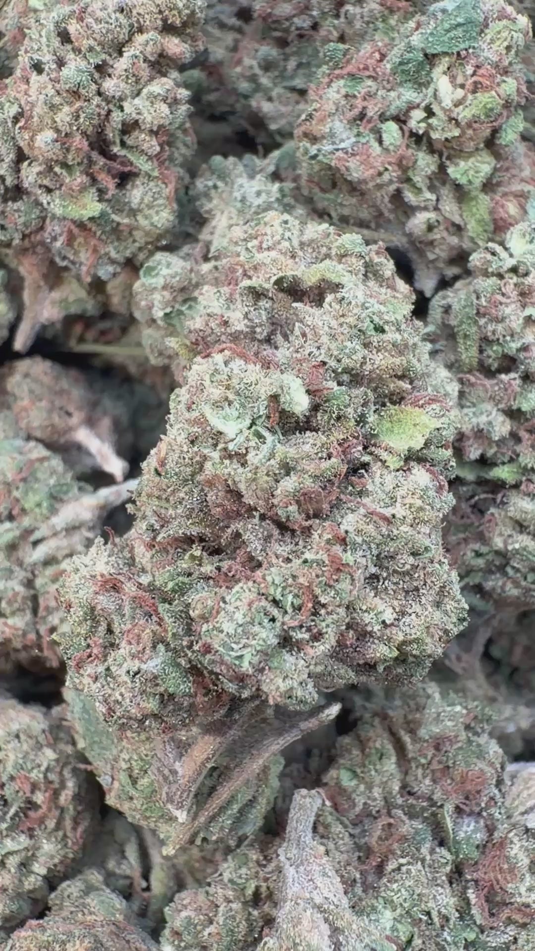 Load video: Super Sour Diesel - Bulk - Sativa