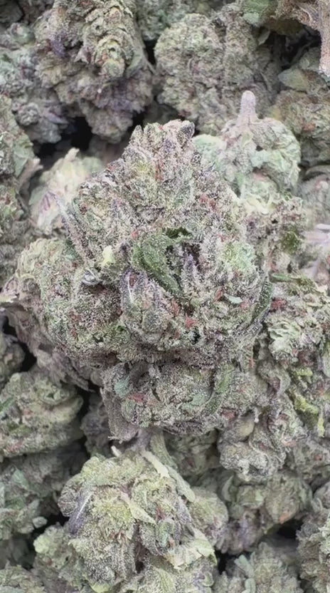Load video: White Runtz - Bulk - Hybrid