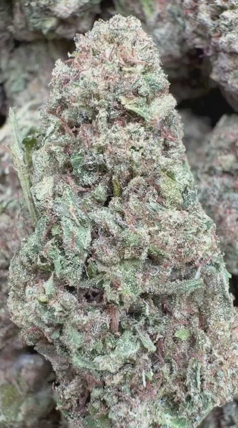 Load video: Pink Certz - Bulk - Indica
