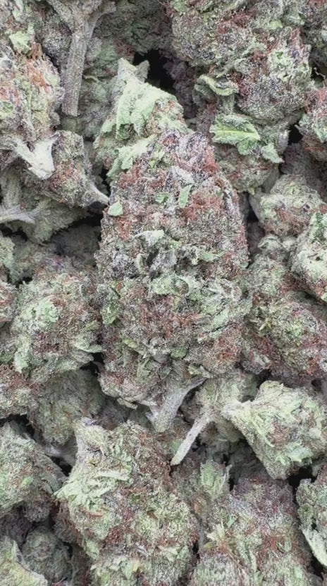 Load video: Banana Runtz - Bulk - Hybrid