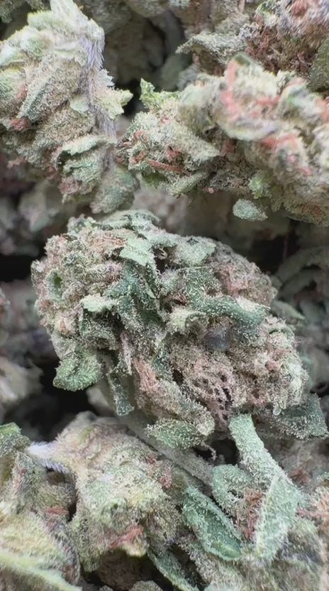 Load video: Purple Punch Littles - Bulk Littles - Indica