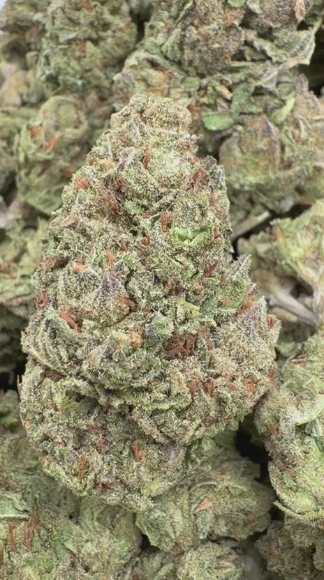 Load video: Zkittles x Mochi - Bulk - Hybrid