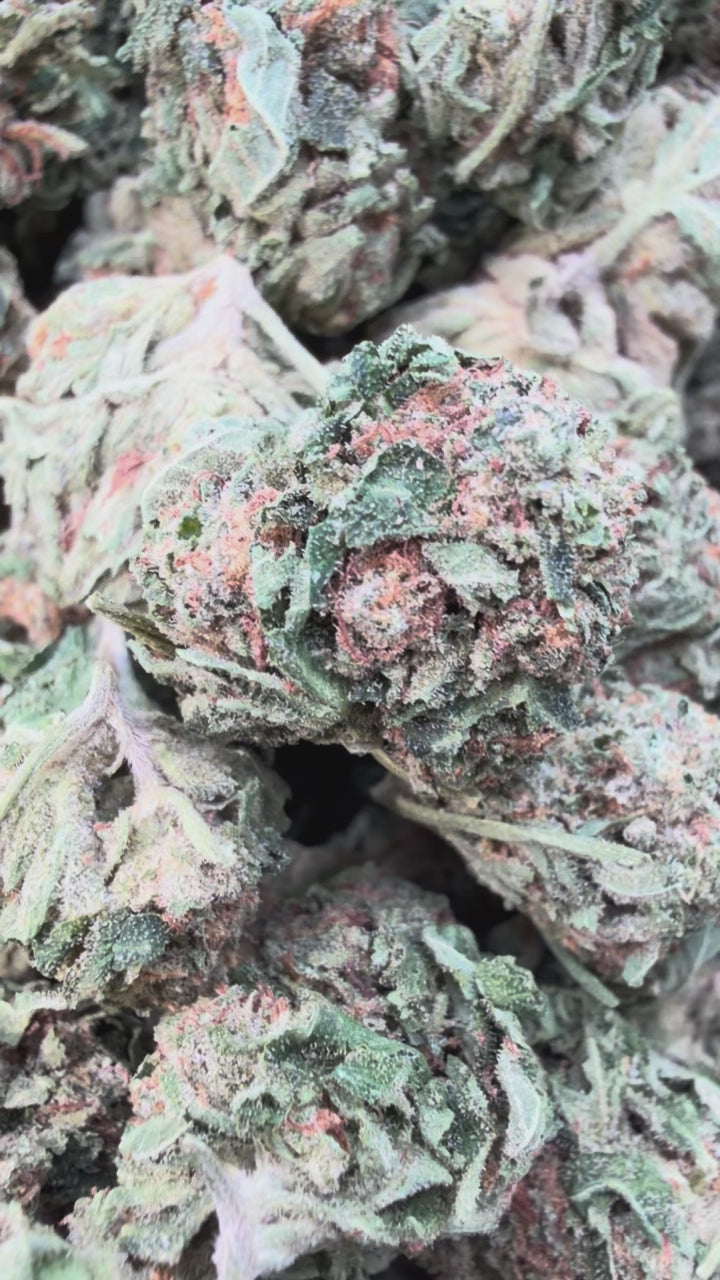 Load video: Caffeine Mediums - Bulk Mediums - Hybrid