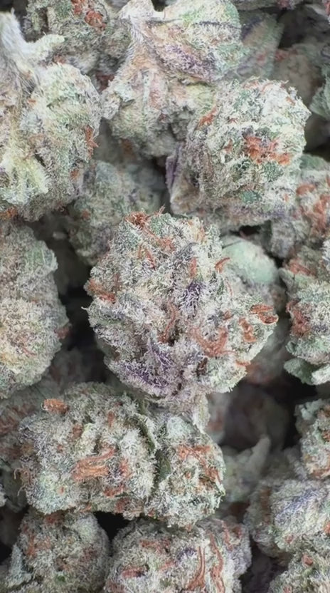 Load video: Lemonatti Littles - Bulk Littles - Sativa