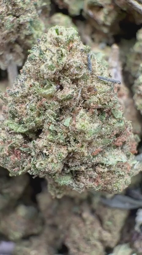 Load video: AK 47 Littles - Bulk Littles - Hybrid