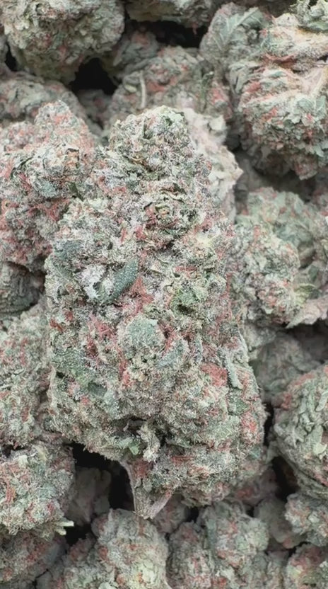 Load video: Black Cherry Caviar - Bulk - Indica