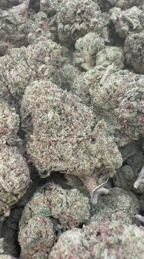 Load video: Blueberry Zkittlez Indoor - Bulk - Indica