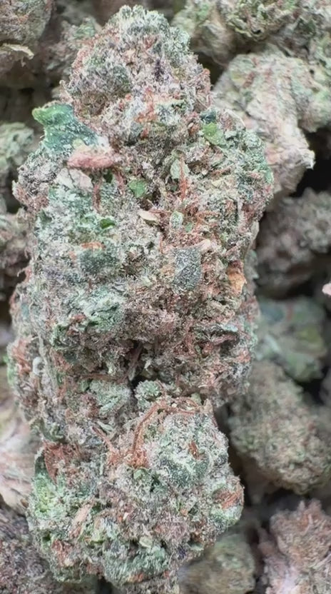 Load video: Mochi Gelato Littles - Bulk Littles - Hybrid
