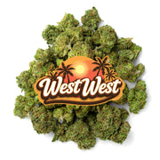 West West Brand - Zlushies - 14 Grams - Indica